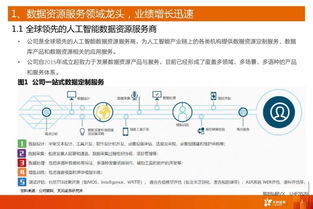 海天瑞聲 人工智能時代的數據基石與軟件服務先鋒